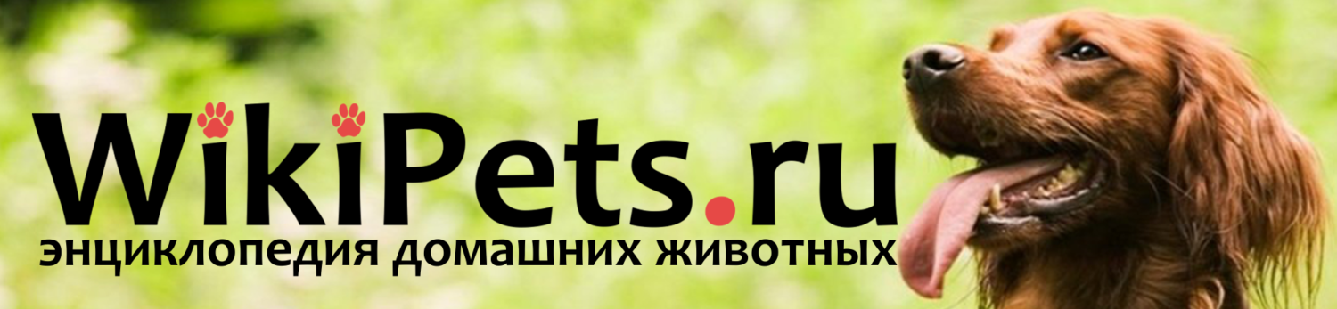 Wikipets.ru
